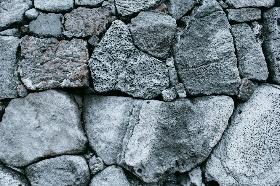 Building a Resilient Business Model